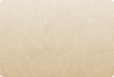 Partnership Background